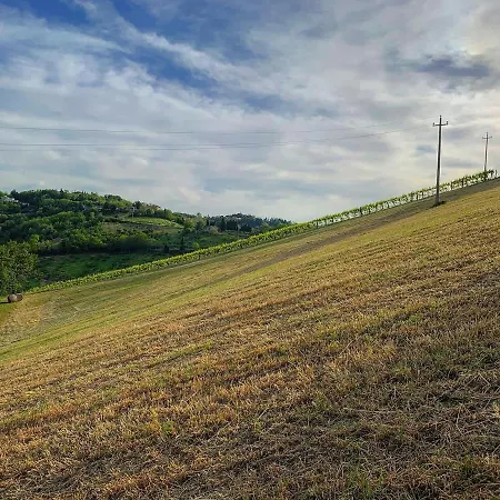 Podere Baratta E Cantina 팜스테이 Collinello