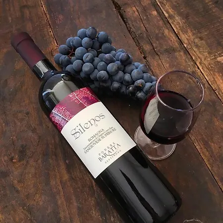 Podere Baratta E Cantina * Collinello