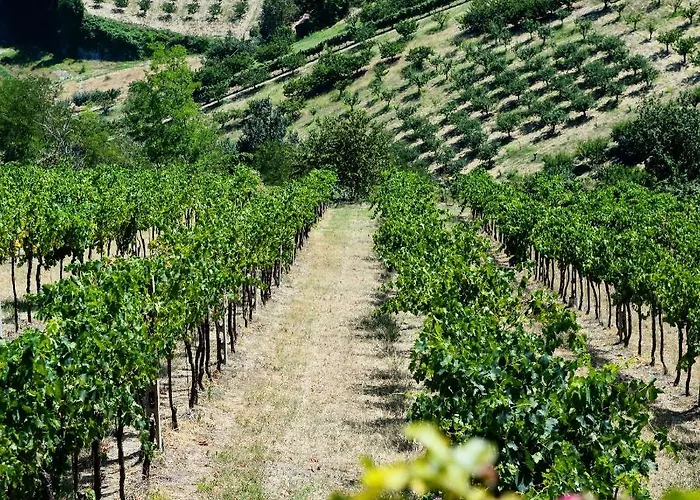 Podere Baratta E Cantina Farmház
