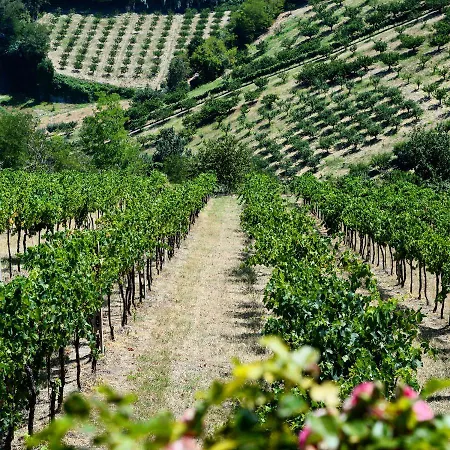 Podere Baratta E Cantina Farm stay