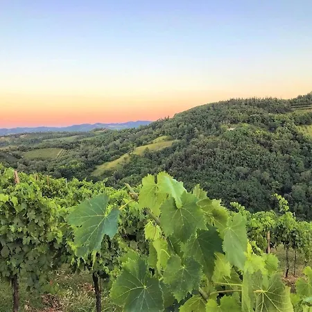 Farm stay Podere Baratta E Cantina Collinello