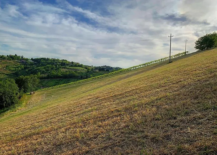 Podere Baratta E Cantina Agroturismo Collinello