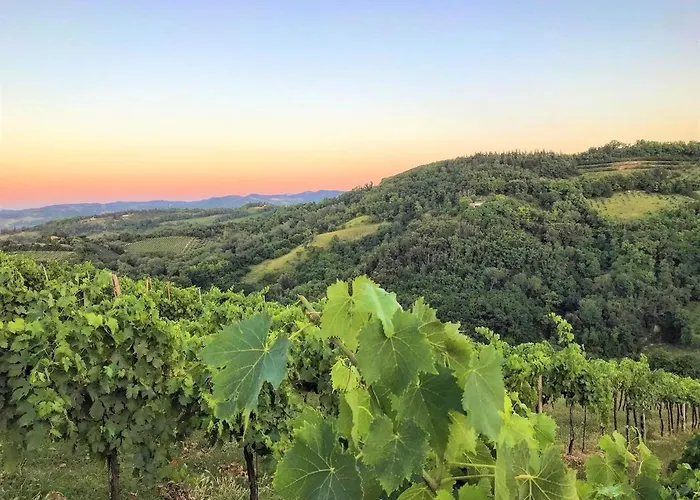 Bauernhof Podere Baratta E Cantina Collinello