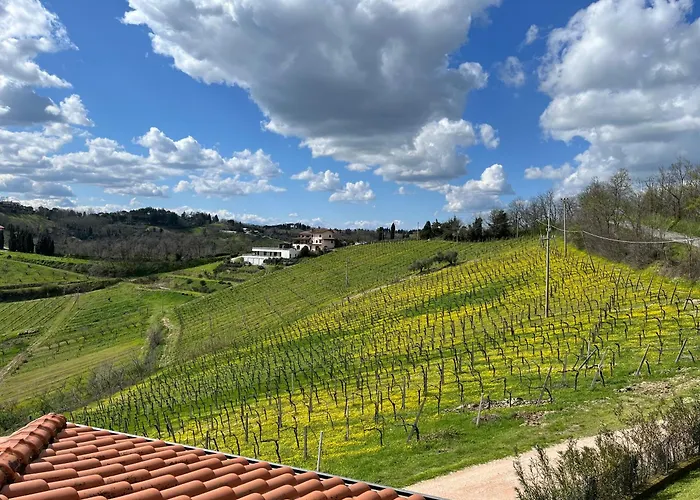 Podere Baratta E Cantina Collinello
